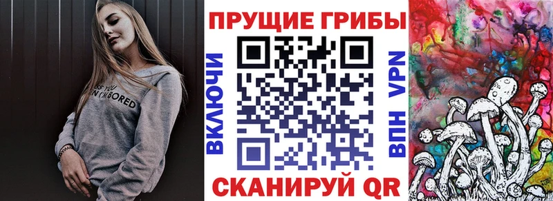 Псилоцибиновые грибы Cubensis  Анадырь 